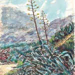 PALINURO - Fiore d'agave