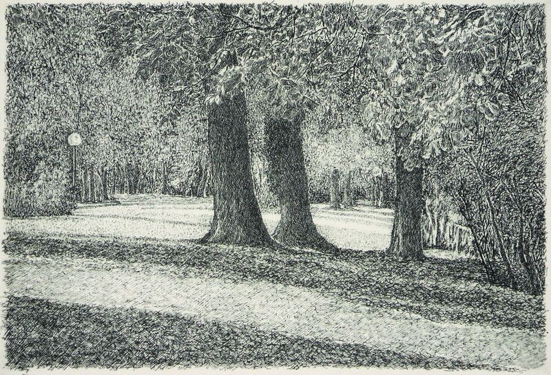 In inverno nel parco